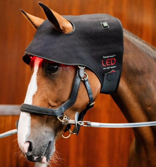 Horseware LED Red Light Therapy Poll Cap