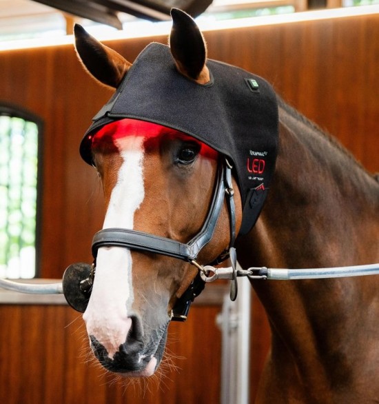 Horseware LED Red Light Therapy Poll Cap