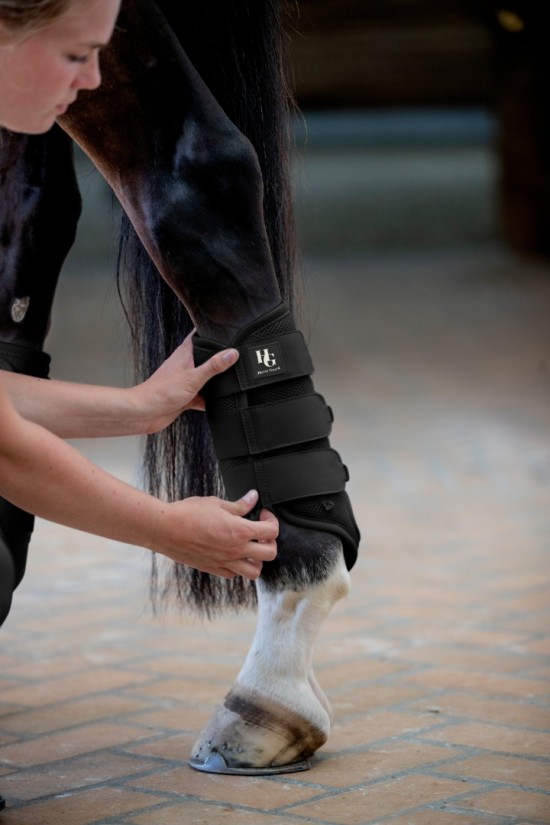 HorseGuard Timothy Mesh Beenbeschermers