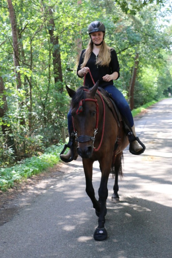 F.R.A. Cavallo Hoefschoenen TREK