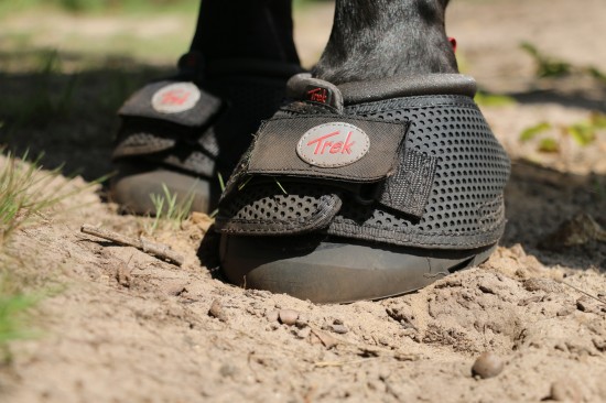F.R.A. Cavallo Hoefschoenen TREK
