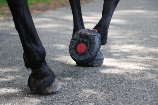 F.R.A. Cavallo Hoefschoenen SIMPLE