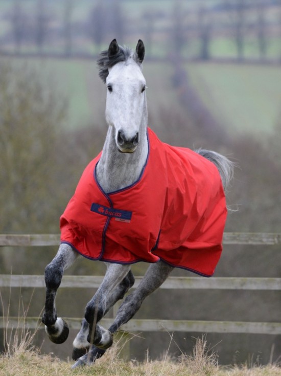 Bucas Freedom Turnout Light 0gr. Crimson