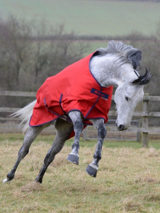 Bucas Freedom Turnout Light 0gr. Crimson