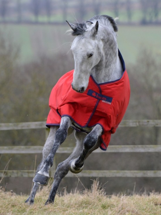 Bucas Freedom Turnout Light 0gr. Crimson