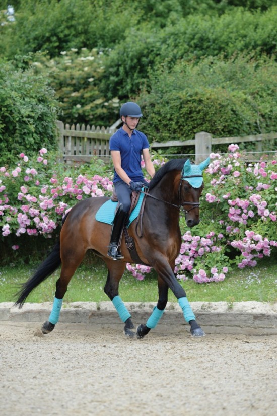 Weatherbeeta Prime Zadeldek Turquoise