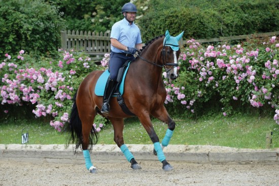 Weatherbeeta Prime Zadeldek Turquoise