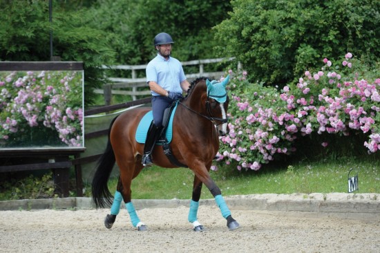 Weatherbeeta Prime Zadeldek Turquoise