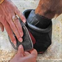 F.R.A. Cavallo Pastern Wraps (omslagbandage)