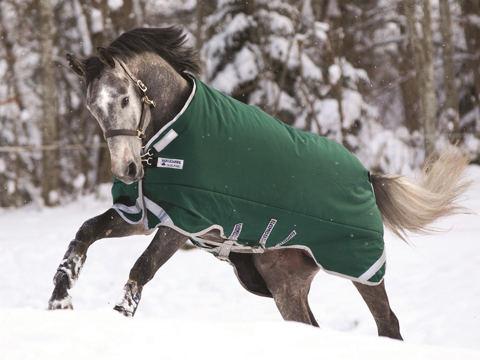 Rambo Original Lite Regendeken 0gr. Green - Waterdichte dekens -